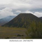 3d开奖结果400期何时开奖?最新开奖时间公布 c88vkgt5c