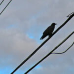 3D开奖结果328历史开奖前后关联分析 fdjenu2sn