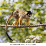 2016小年夜晚会精彩直播回顾 j38h327o