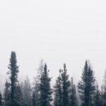 2016年利物浦与曼联巅峰对决直播全纪录 linhubnz