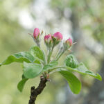 2016欧洲杯完整赛程直播时间表及观看指南 mhzrb