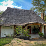 3d开奖结果278震撼揭晓,最新中奖号码全面公布 r9r74