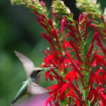 3d开奖结果842历史开奖前后关联走势深度解析 x9yw4cx5j